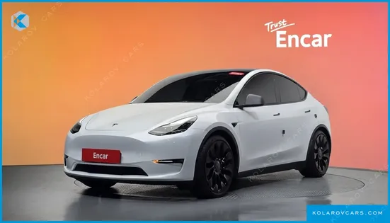 TESLA MODEL Y PERFORMANCE AWD