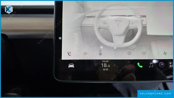 TESLA MODEL Y PERFORMANCE AWD