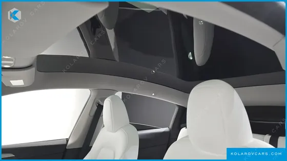 TESLA MODEL Y RWD