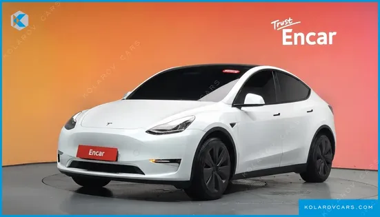 TESLA MODEL Y LONG RANGE AWD