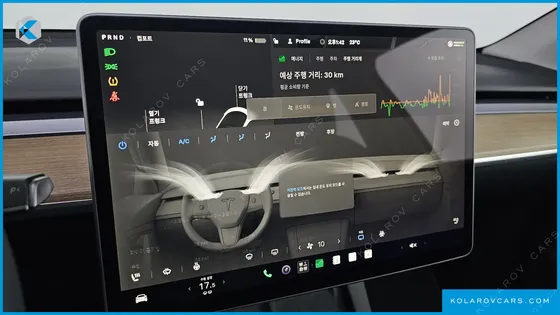 TESLA MODEL Y RWD