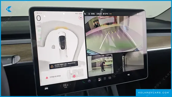 TESLA MODEL Y RWD
