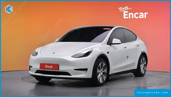 TESLA MODEL Y RWD
