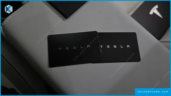 TESLA MODEL Y L LONG RANGE AWD