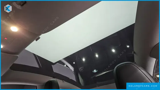 TESLA MODEL Y RWD