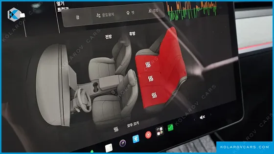 TESLA MODEL Y RWD