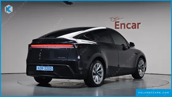 TESLA MODEL Y LONG RANGE AWD