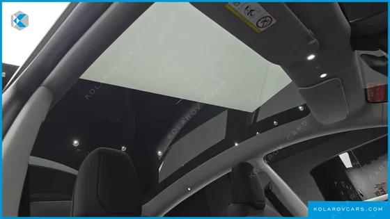TESLA MODEL Y RWD