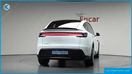 TESLA MODEL Y L LONG RANGE AWD