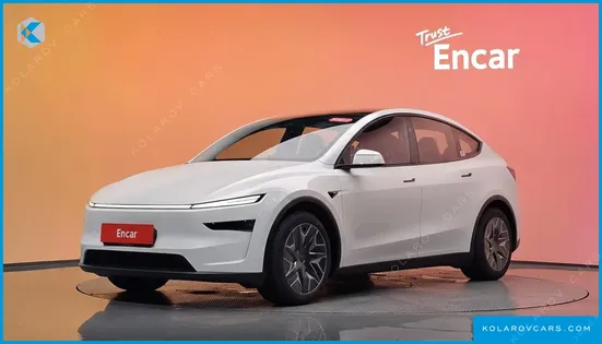 TESLA MODEL Y L LONG RANGE AWD