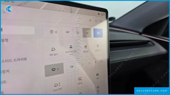 TESLA MODEL Y RWD