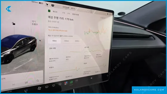 TESLA MODEL Y RWD
