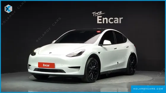 TESLA MODEL Y RWD