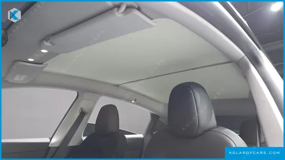 TESLA MODEL Y RWD