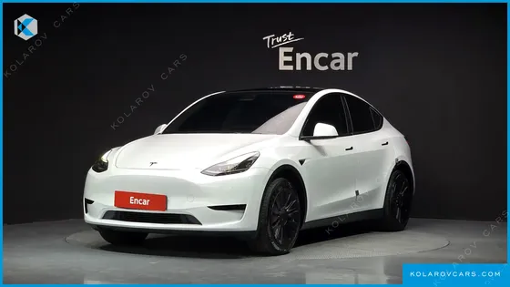 TESLA MODEL Y RWD