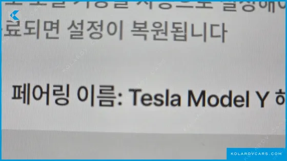 TESLA MODEL Y RWD