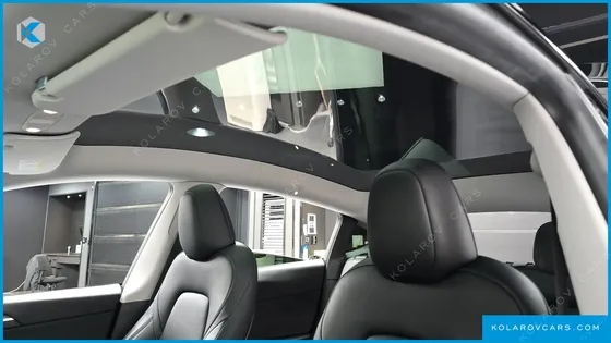 TESLA MODEL Y RWD