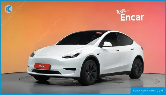 TESLA MODEL Y RWD