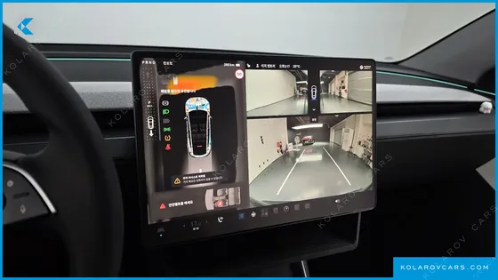 TESLA MODEL Y RWD