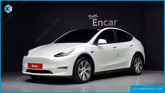TESLA MODEL Y LONG RANGE AWD