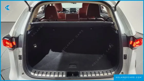 LEXUS NX SUPREME
