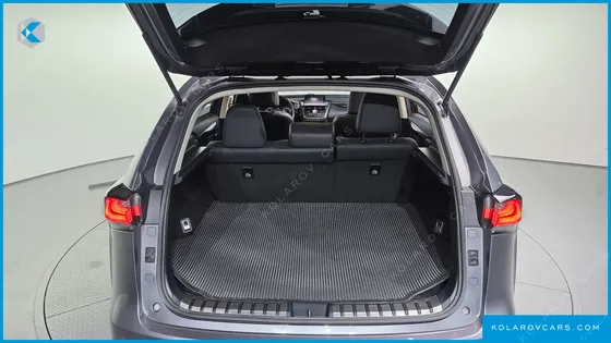 LEXUS NX SUPREME