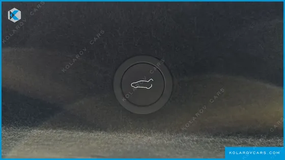 TESLA MODEL Y L LONG RANGE AWD