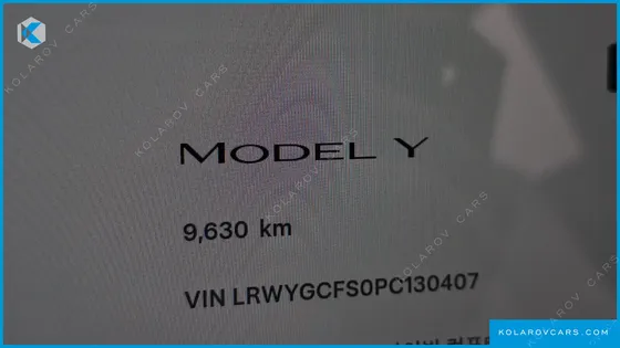 TESLA MODEL Y RWD
