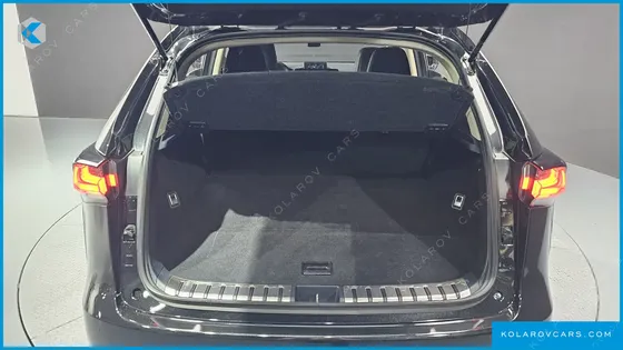 LEXUS NX SUPREME