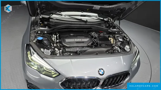BMW 2 SERIES 220I SPORT