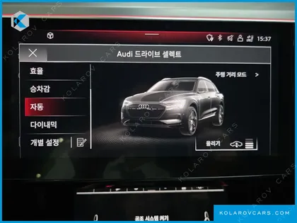 AUDI Q8 E-TRON 55 QUATTRO