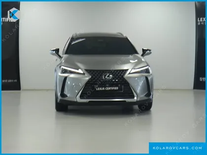 LEXUS UX 2.0 2WD