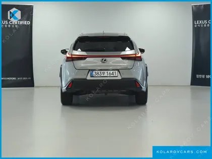 LEXUS UX 2.0 2WD