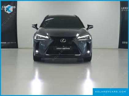 LEXUS UX 2.0 F-SPORT 2WD