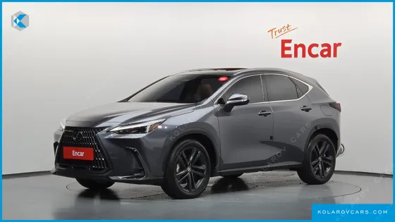 LEXUS NX PREMIUM