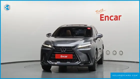 LEXUS NX PREMIUM