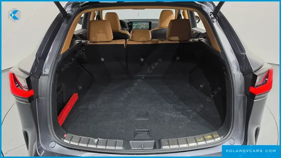 LEXUS NX PREMIUM