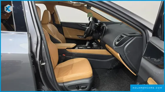 LEXUS NX PREMIUM