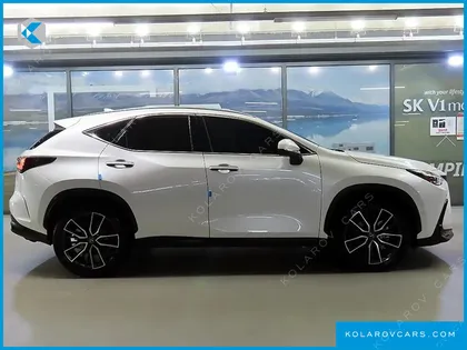 LEXUS NX LUXURY