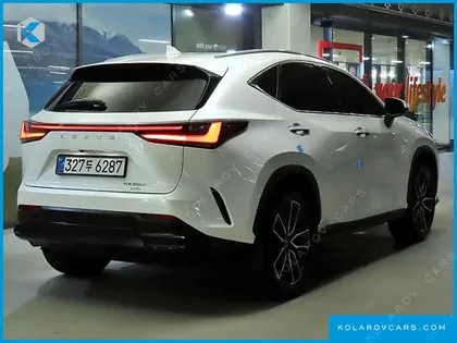 LEXUS NX LUXURY