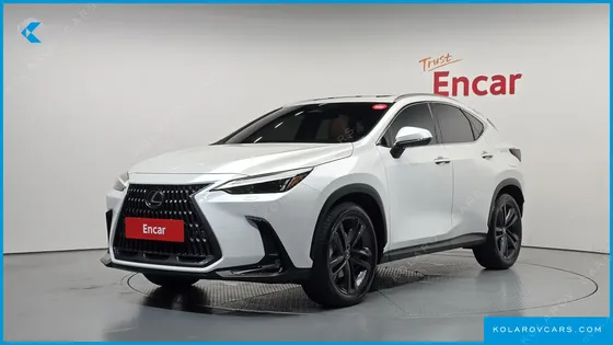 LEXUS NX PREMIUM