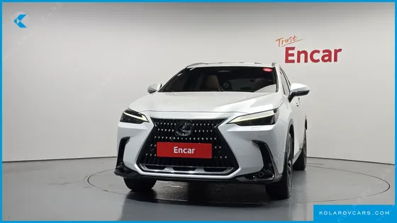 LEXUS NX PREMIUM