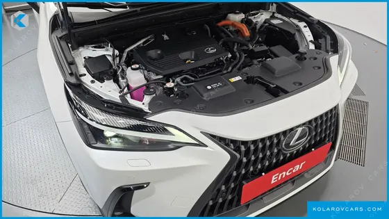LEXUS NX PREMIUM