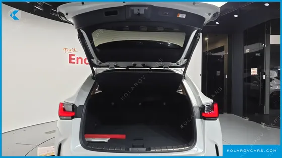 LEXUS NX PREMIUM