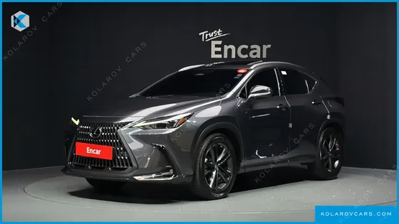 LEXUS NX PREMIUM