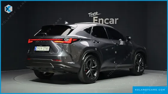 LEXUS NX PREMIUM