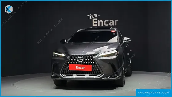 LEXUS NX PREMIUM