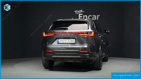 LEXUS NX PREMIUM