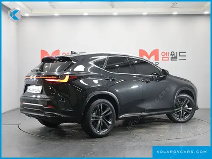 LEXUS NX PREMIUM