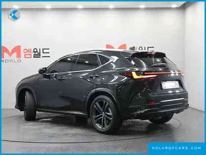 LEXUS NX PREMIUM